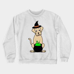 Funny Big Dog is wearing a witch costume Crewneck Sweatshirt